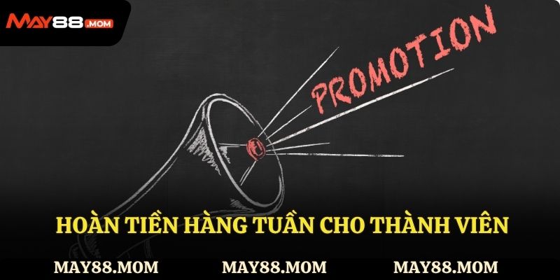 Hoàn tiền hàng tuần cho thành viên